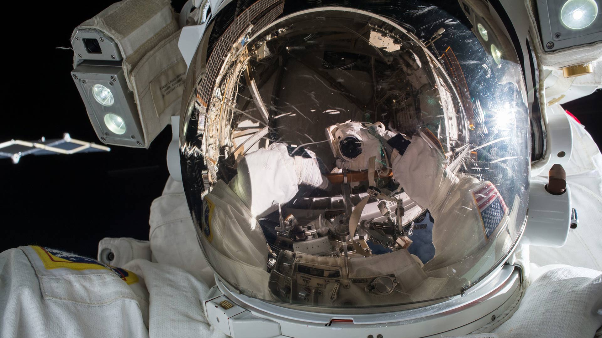 <strong>벨리트 포르티토</strong>