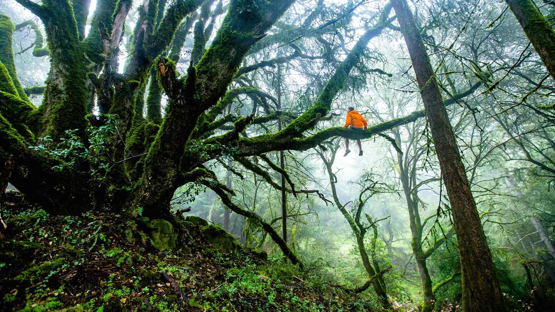 <strong>거대한 자연</strong>