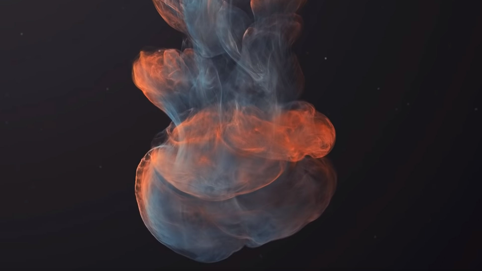 <strong>울림과 퍼짐</strong>