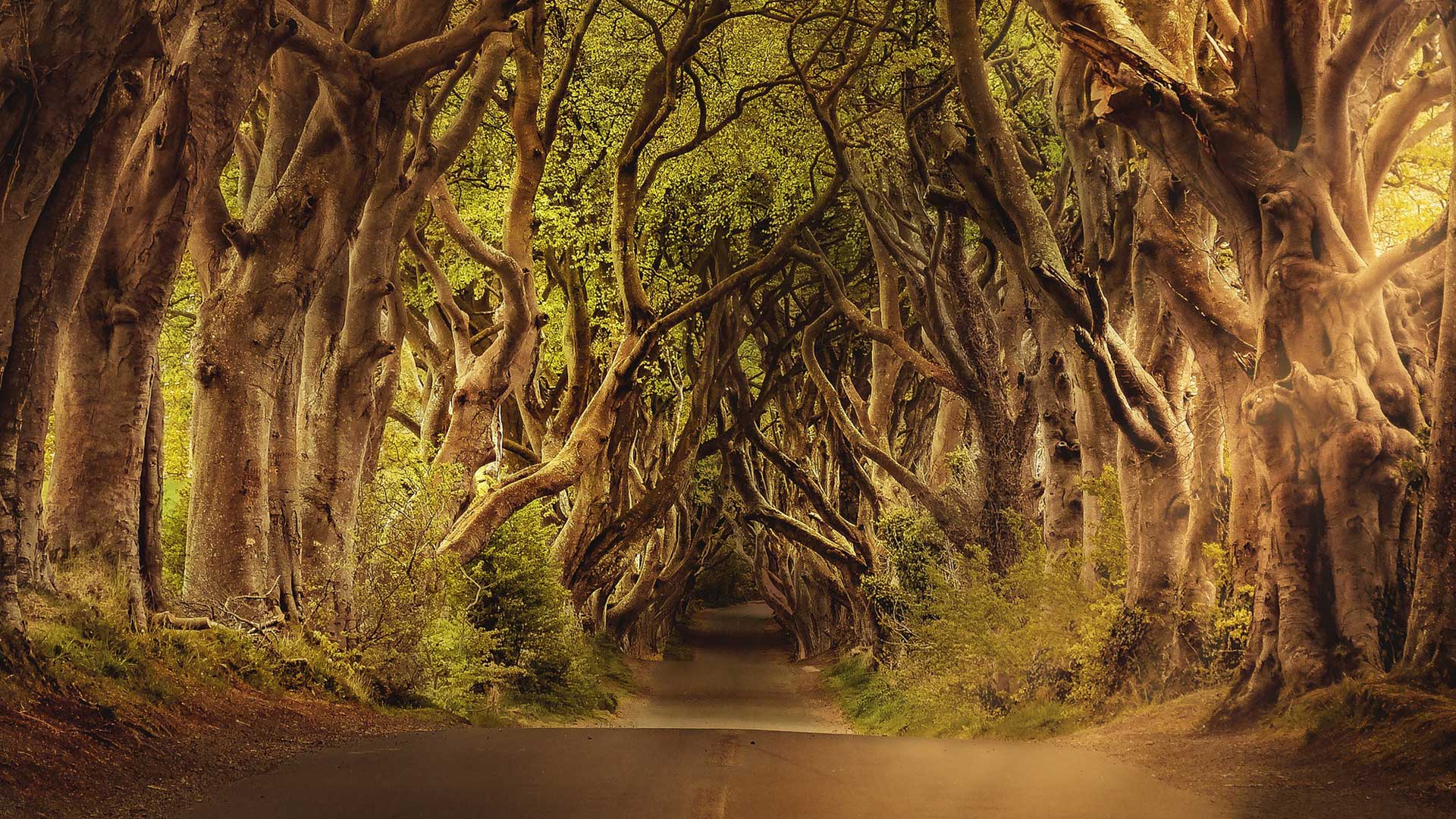 <strong>자연을 만나다</strong>